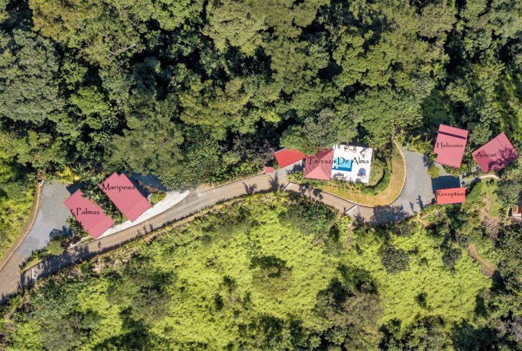 Nature's Edge Boutique Hotel - Gay Owned Hotel in Uvita, Puntarenas, Costa Rica