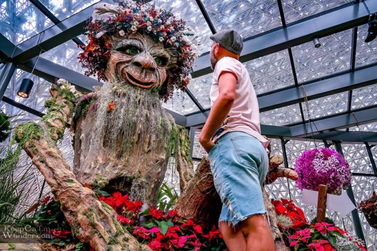 Singapore's Floral Fantasy - Keep Calm and Wander