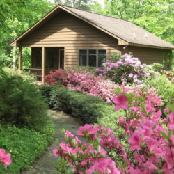 Gay Owned [moobdir_type value_only='yes'] in Dyke, Virginia, USA - The Cottages at Chesley Creek Farm