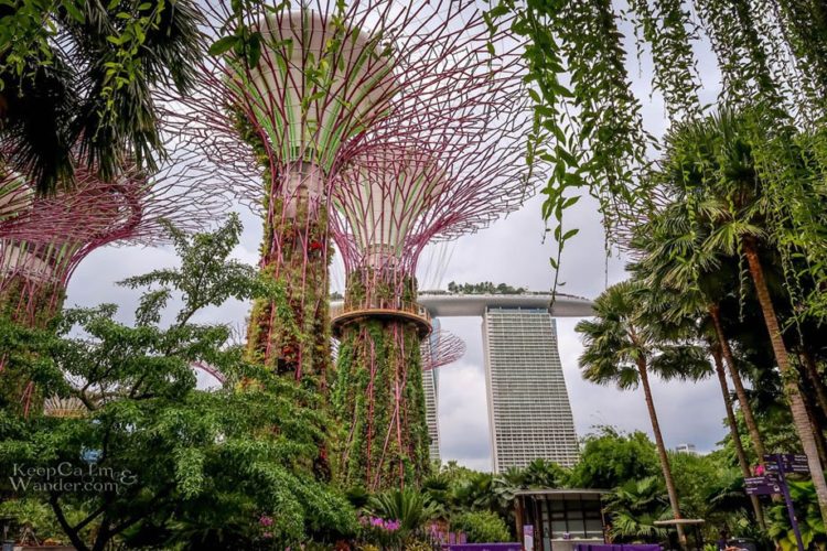 Singapore's SuperTrees - Keep Calm and Wander