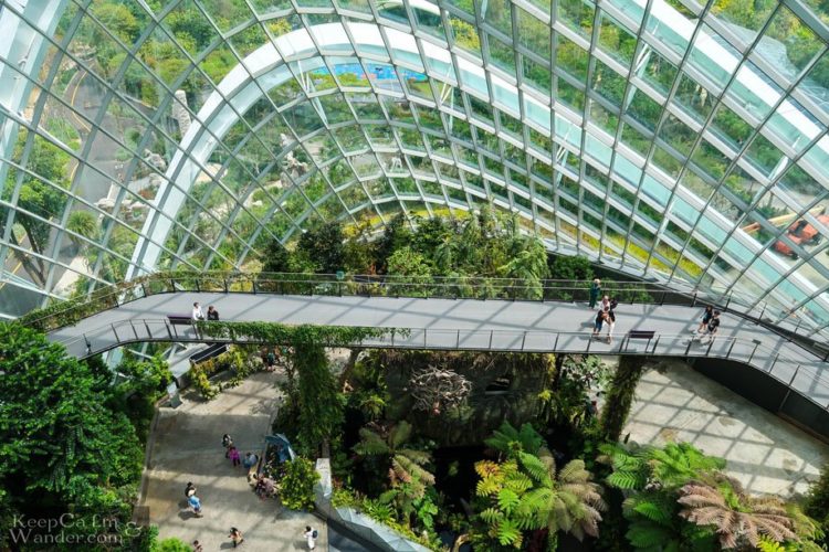 Singapore's Cloud Forest Park