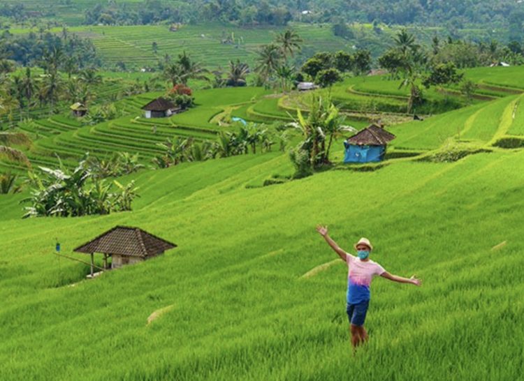 Indponesia's Jatiluwih Rice Terraces - Keep Calm and Wander
