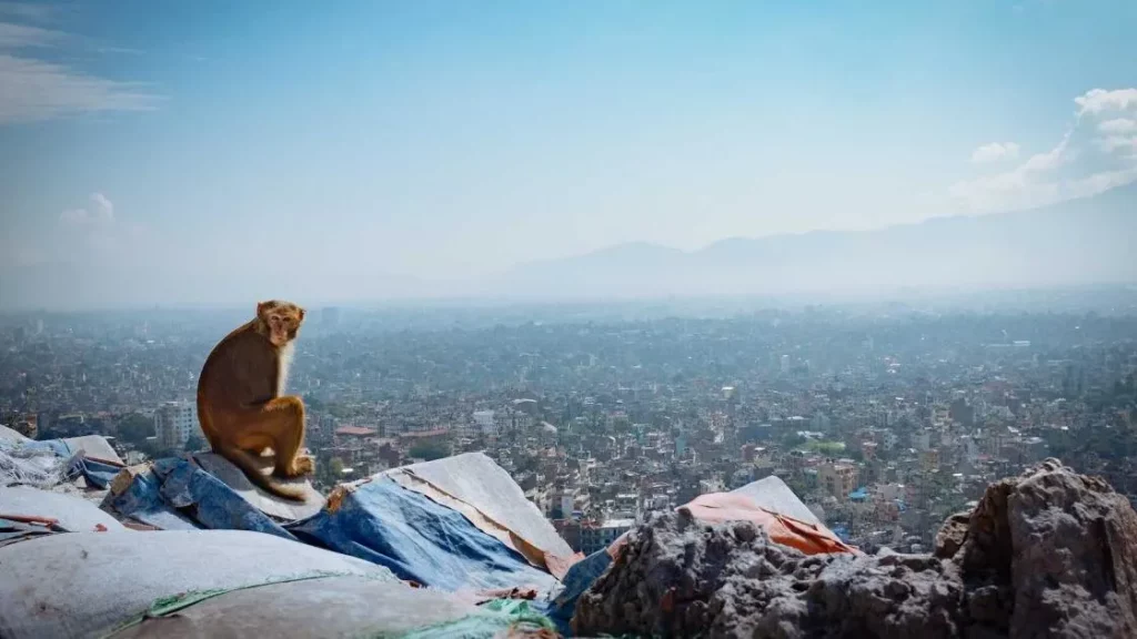 Gay Kathmandu, Nepal - The Nomadic Boys