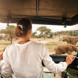 Gay Friendly [moobdir_type value_only='yes'] in Arusha, , Tanzania - Sababu Safaris