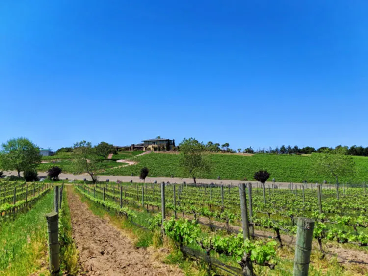 Santa Maria Wine Country for Gay Families - 2TravelDads