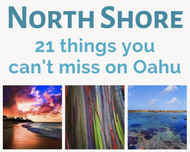 Oahu's North Shore - 2TravelDads