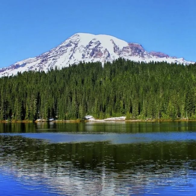 Hiking Mount Rainier for Gay Families- 2TravelDads