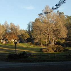 Gay Friendly [moobdir_type value_only='yes'] in Little River, California, USA - Andiron Seaside Inn & Cabins