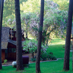 Gay Friendly [moobdir_type value_only='yes'] in Cave Junction, Oregon, USA - Vertical Horizons Treehouse Paradise