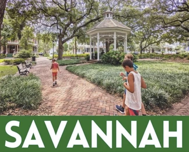 Gay Savannah with Kids - 2TravelDads