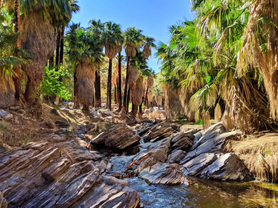 The Best of Hiking Palm Springs - 2TravelDads
