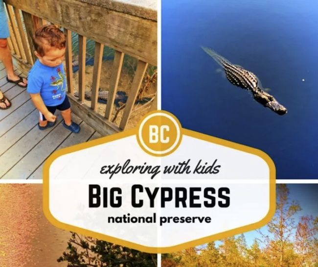 Exploring Big Cypress With Kids - 2TravelDads