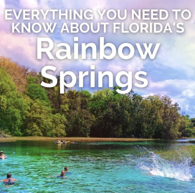 Florida's Rainbow Springs - 2TravelDads